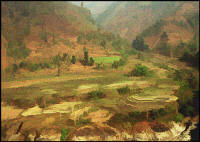 Terraced-Fields