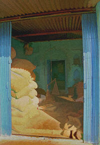 IndiaMillshedOrchaa
